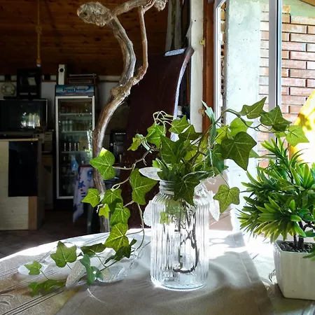 Πανσιόν Rezos 3*