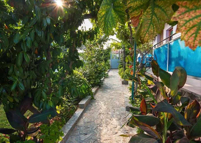 Rezos Πανσιόν 3*